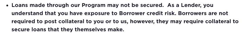 Gemini's Terms on Risk