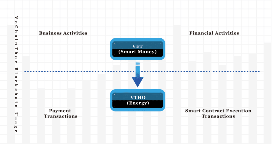 VeChains Two Tokens